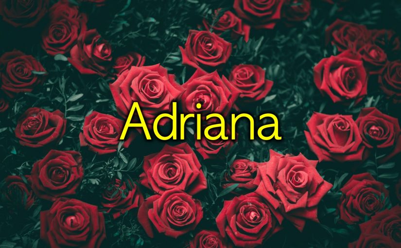 Quem tem uma Adriana tem tudo, ela é uma verdadeira dádiva 😍