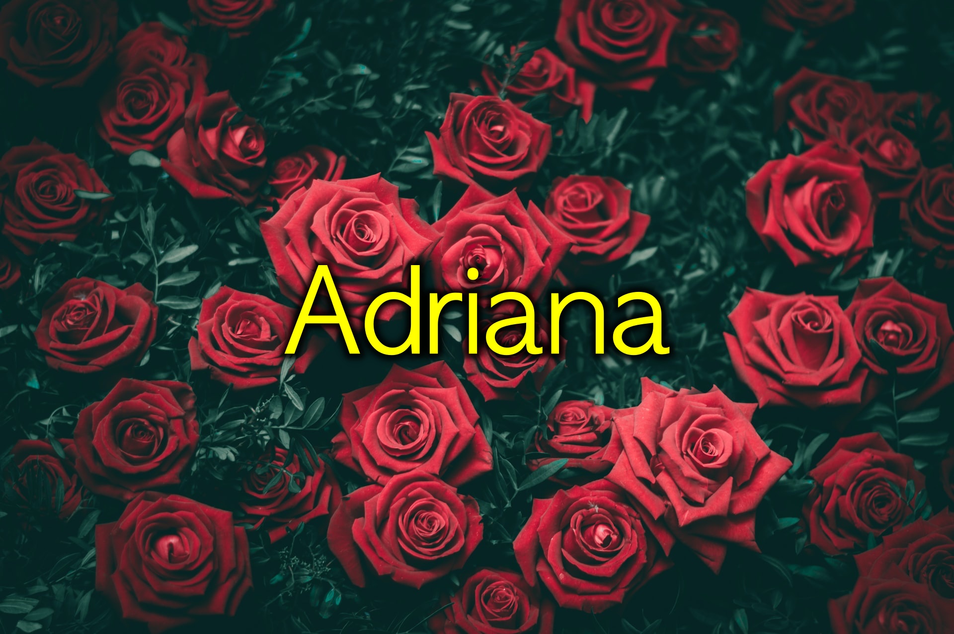 Quem tem uma Adriana tem tudo, ela é uma verdadeira dádiva