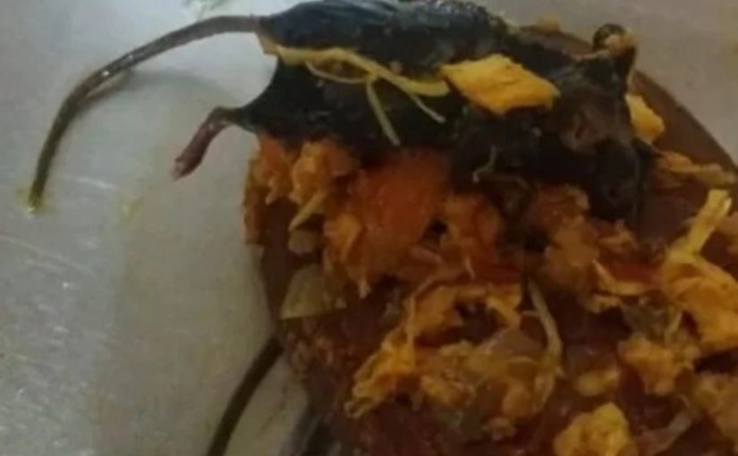 Mulher ficou horrorizada após encontrar um rato morto dentro do pacote de extrato de tomate enquanto cozinhava lasanha