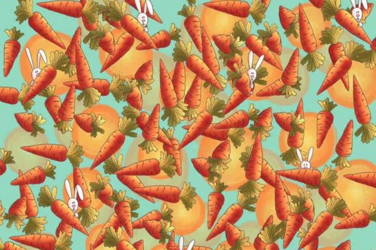 Você consegue encontrar o lápis escondido entre as cenouras neste quebra-cabeça visual