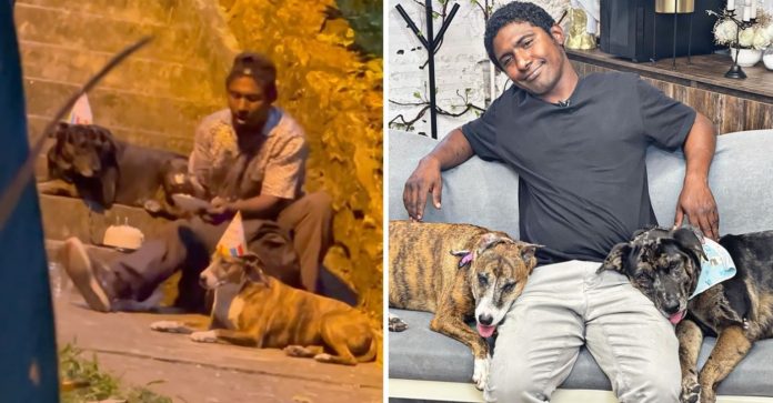 A vida do jovem que celebrava com seus cachorros na rua melhorou e agora ele tem onde morar, está grato