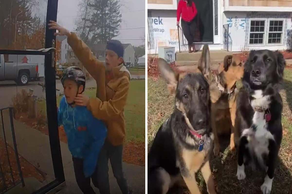 Crianças corajosas salvaram a vida de 3 cachorrinhos presos em um incêndio na casa de seus vizinhos