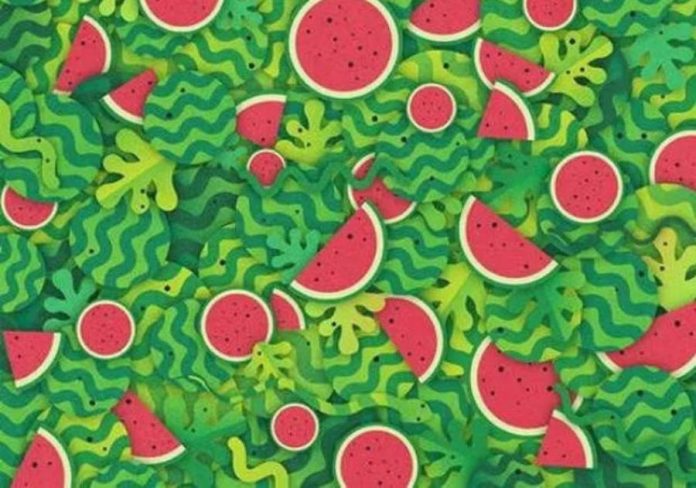 Encontre a cobra entre as melancias, a maioria não consegue em menos de 10 segundos